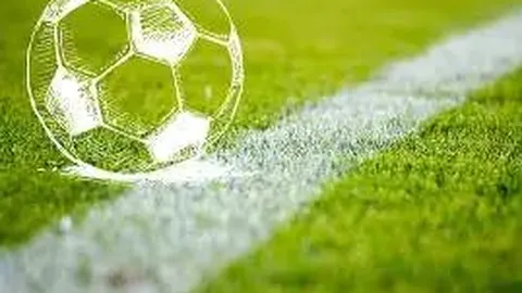 洛杉矶奥运会新增拳击项目，京报体育报道